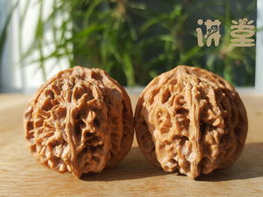 文玩核桃十大精品圖片和價格介紹