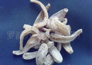 云南麗江天麻(目前接受預(yù)定,產(chǎn)期到可發(fā)貨)_醫(yī)藥、保養(yǎng)_世界工廠網(wǎng)中國(guó)產(chǎn)品信息庫(kù)