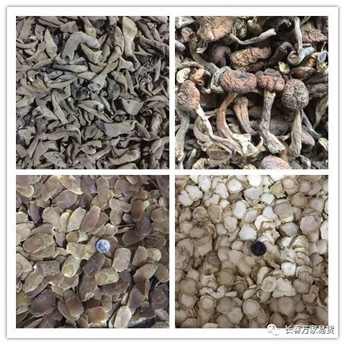 長(zhǎng)春萬(wàn)家易貨 最新易貨