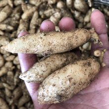 價(jià)格 廠家 中國(guó)供應(yīng)商