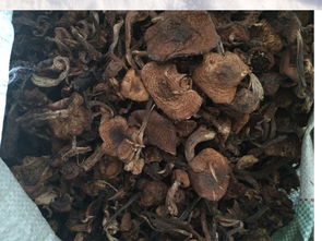 一粒果蔬 農(nóng)產(chǎn)品 東北榛蘑