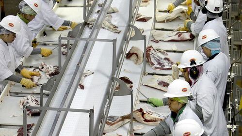 美國肉類工廠疫情危機 570人集體感染新冠，疫情期間被迫開工的背后